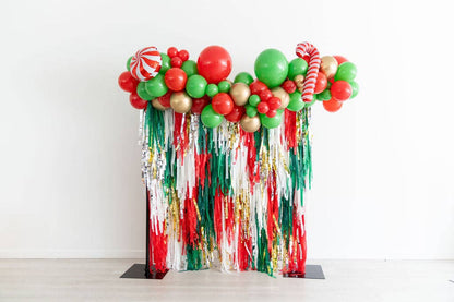Under The Mistletoe Fringe Backdrop: 4' W x 6' H - Bria Blair Creative