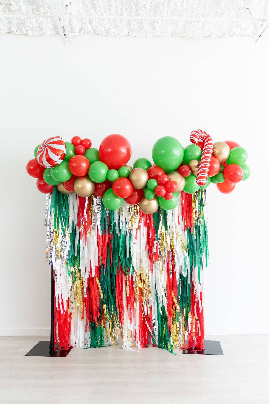 Under The Mistletoe Fringe Backdrop: 4' W x 6' H - Bria Blair Creative
