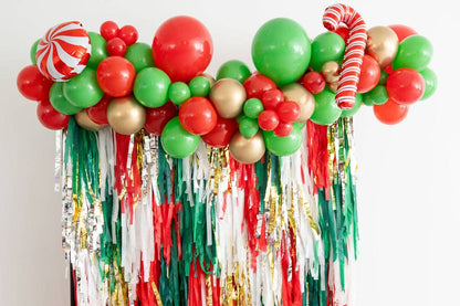 Under The Mistletoe Fringe Backdrop: 4' W x 6' H - Bria Blair Creative