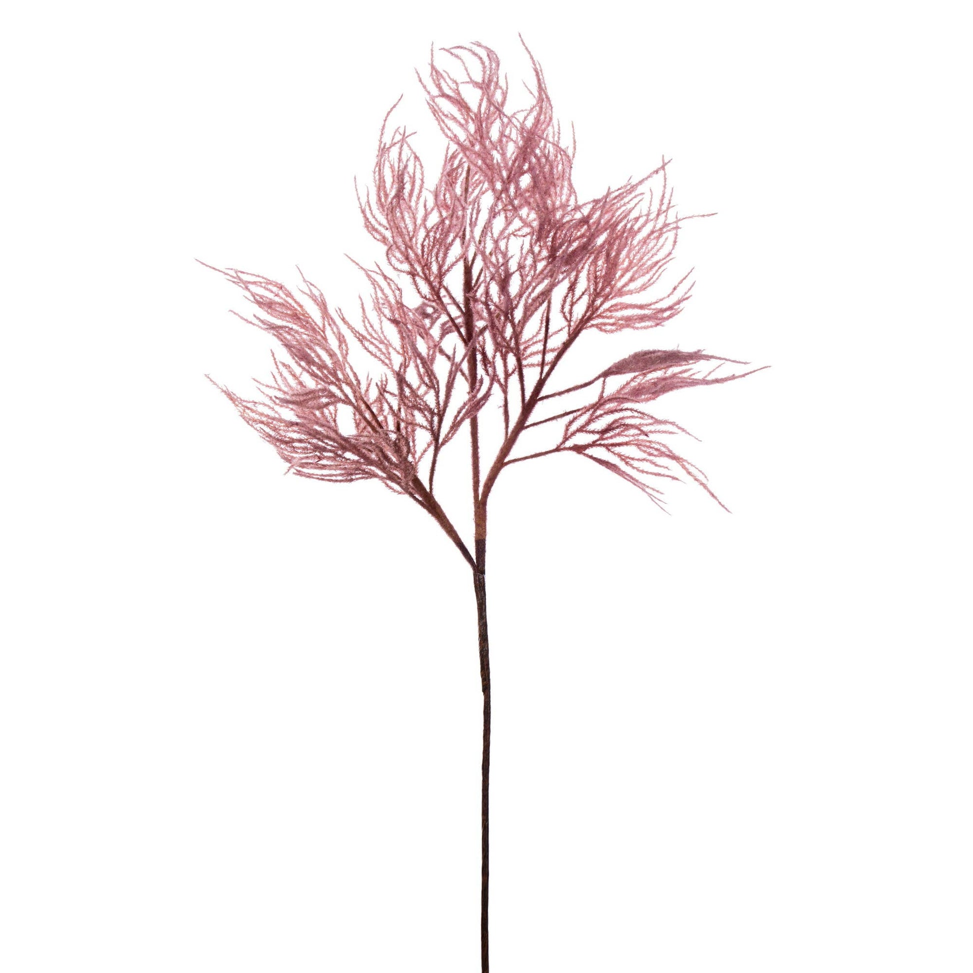 Vickerman 33" Pink Reed Spray Bundle, 2 per bundle.: Pink / Plastic: 80%, Wire: 10%, Glue: 10% / 33" - Bria Blair Creative