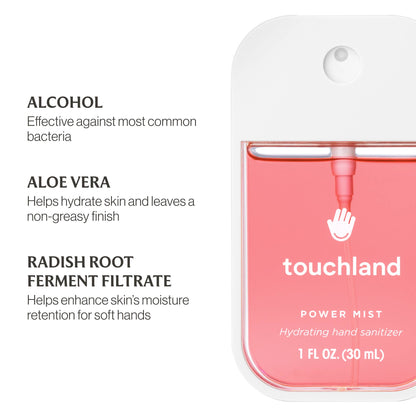 Wild Watermelon Power Mist Hydrating Hand Sanitizer - Bria Blair Creative