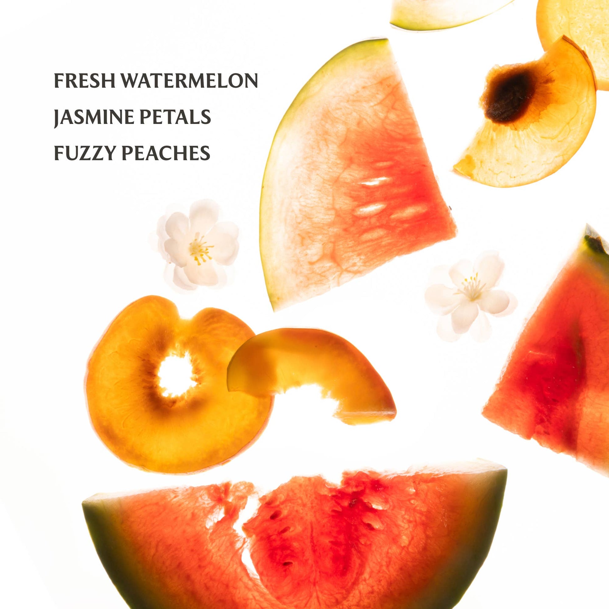 Wild Watermelon Power Mist Hydrating Hand Sanitizer - Bria Blair Creative