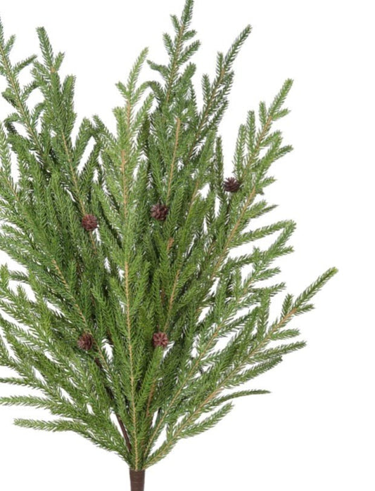 XMAS NORFOLK PINE/CONES VINE 28'' - Bria Blair Creative